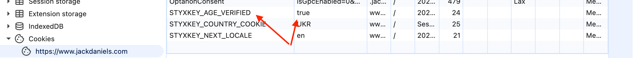 DevTools after passing age verification — cookie STYXKEY_AGE_VERIFIED=true appears in the list